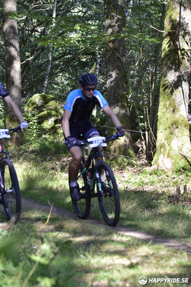 Bild från Bockstensturen 2019